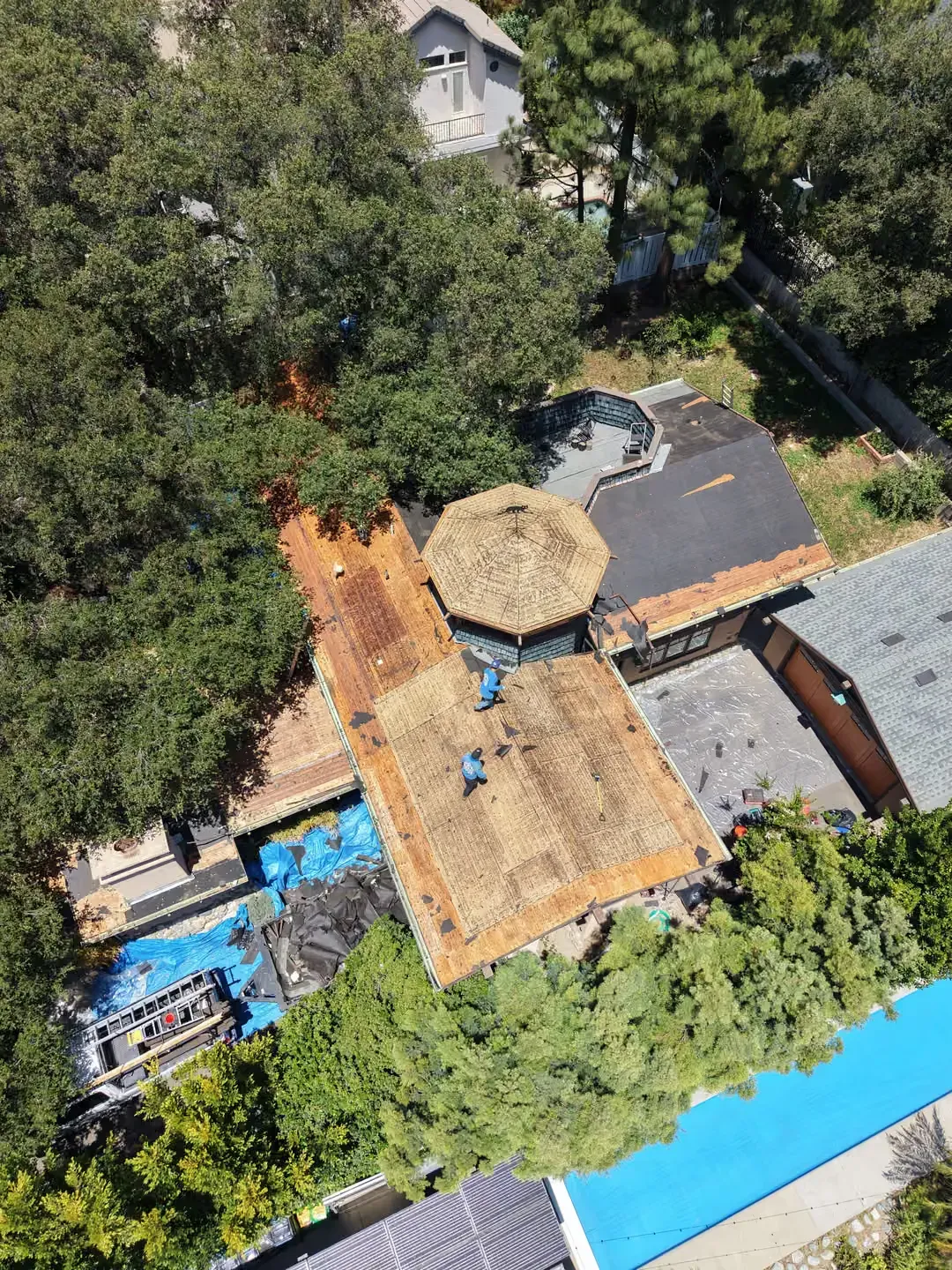 Aerial view of a house with a thatched roof, trees, and a bright blue swimming pool