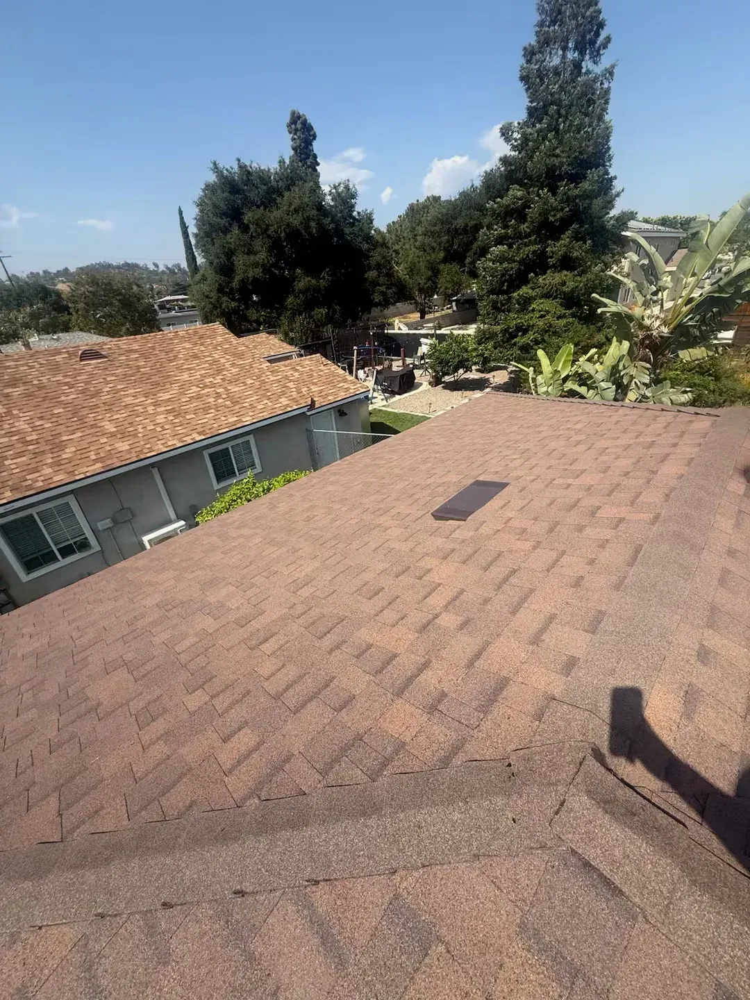 Rooftop with brown shingles, trees, and blue sky on a sunny day