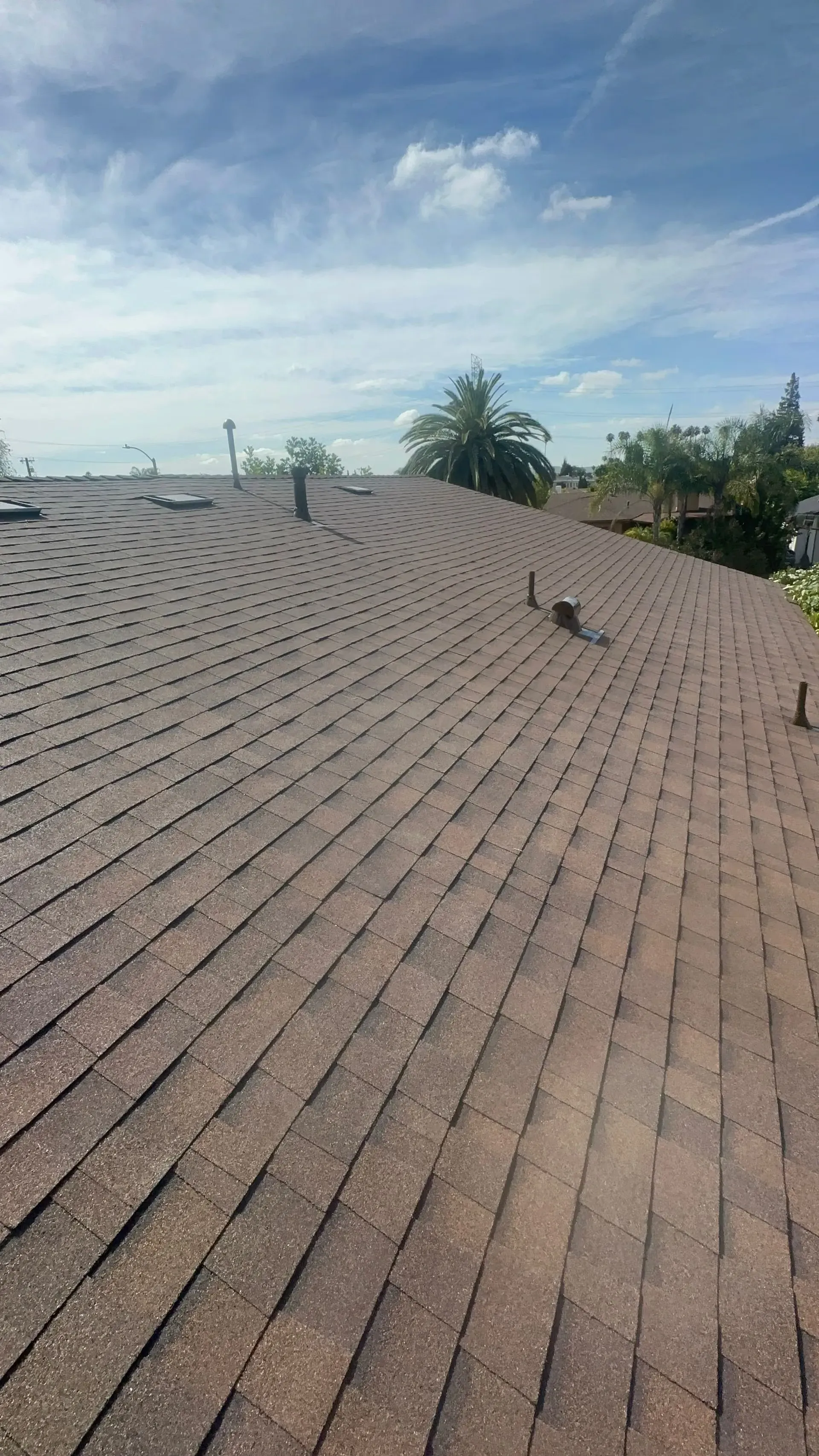 Residential shingle roof under a blue sky with a few rooftop vents and distant palm trees