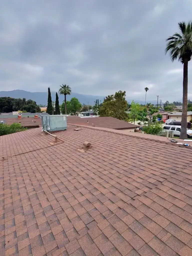 Rooftop with brown shingles, palm trees, and a hazy distant hillside under a cloudy sky