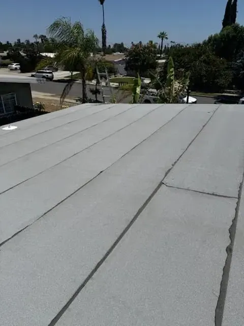 Flat gray rooftop with seams overlooking a sunny residential street and palm trees