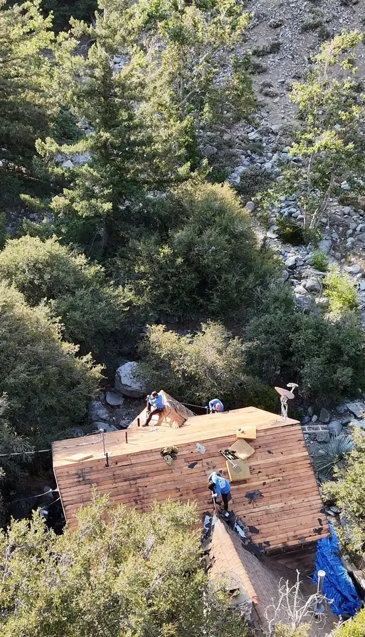 Brick rooftop under dense trees, with a worker in blue near the edge and blue tarp nearby