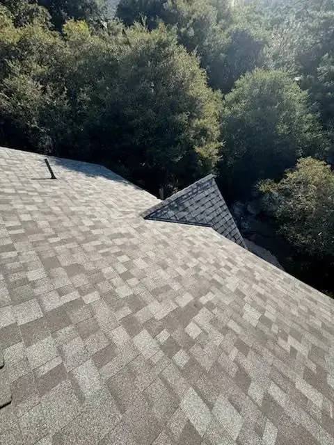 Sloped gray shingle roof with a small dormer, backed by dense green trees