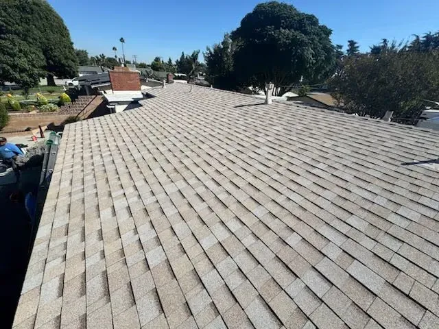 Rooftop covered in light gray shingles, viewed from above, with trees and houses in the background