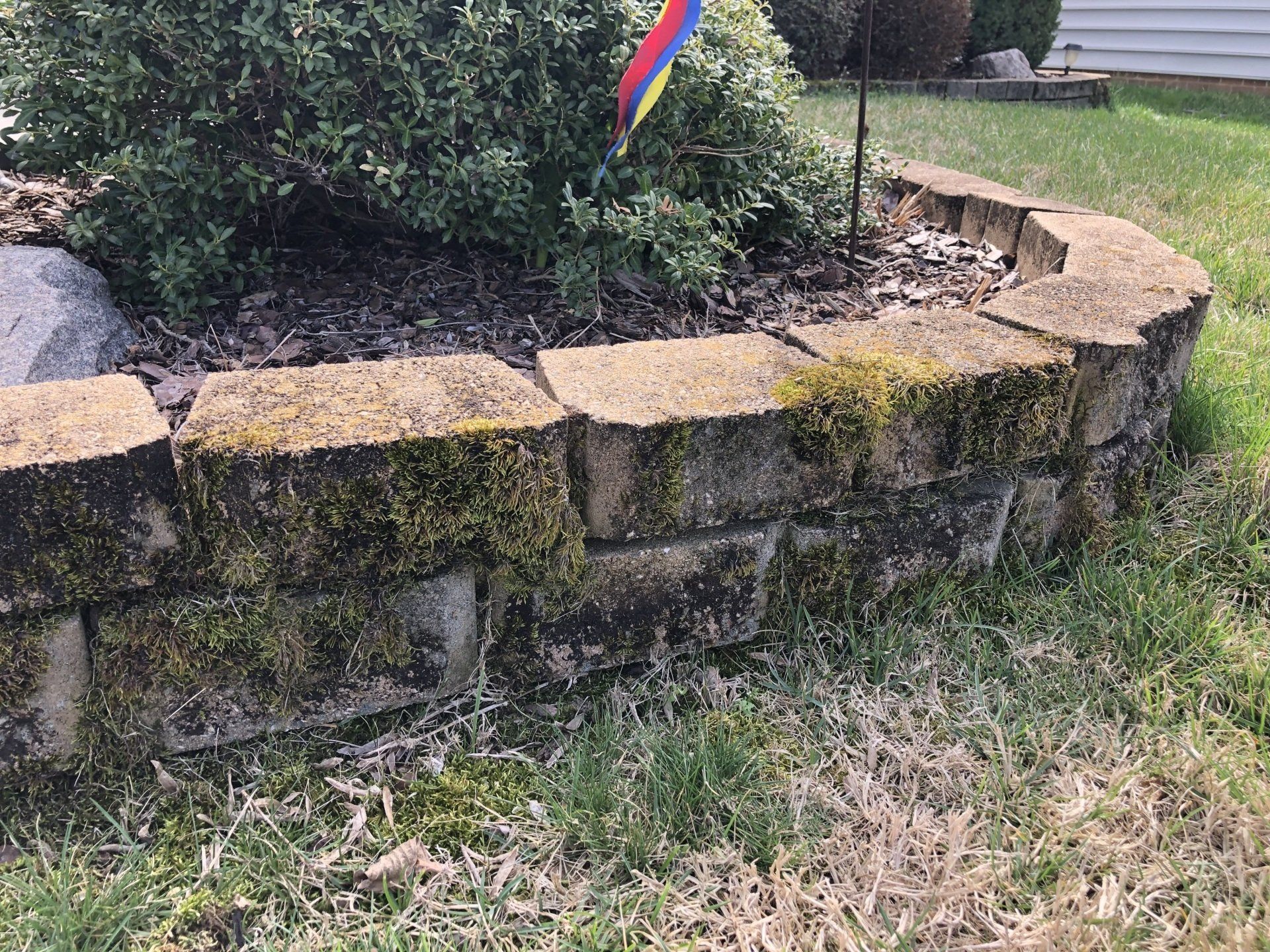 old dirty concrete plant box