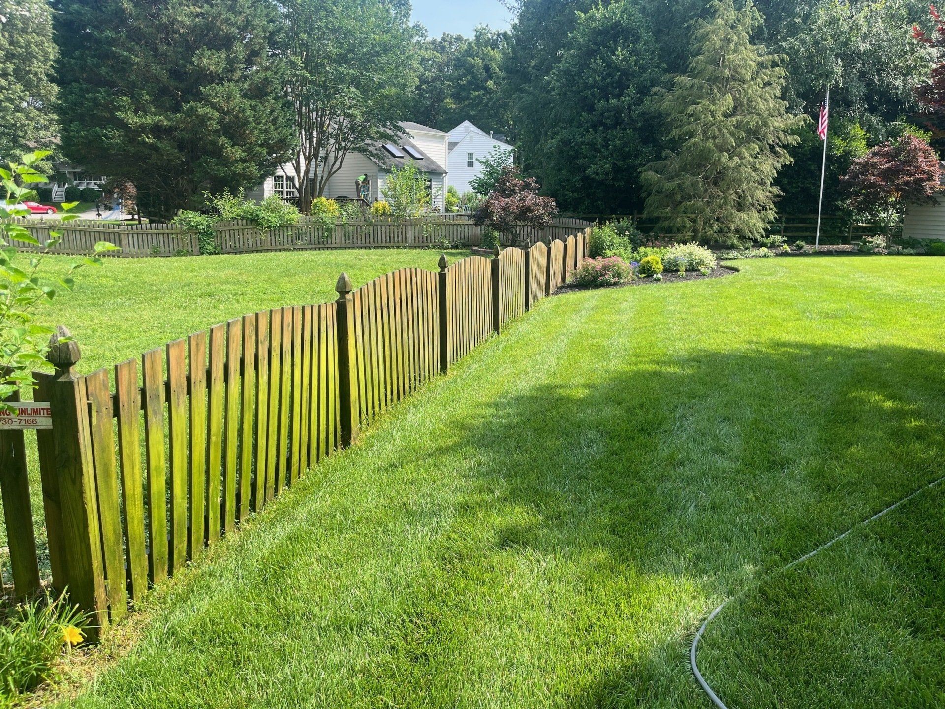 dirty wood fences with green algae