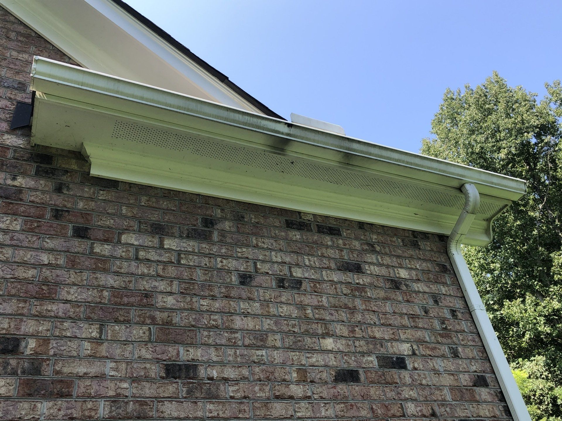 Before Leaves Were Removed — Henrico, VA — Central Virginia Power Washing