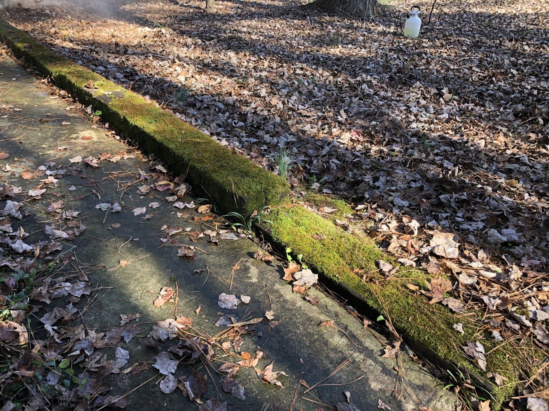 dity old path way on side
