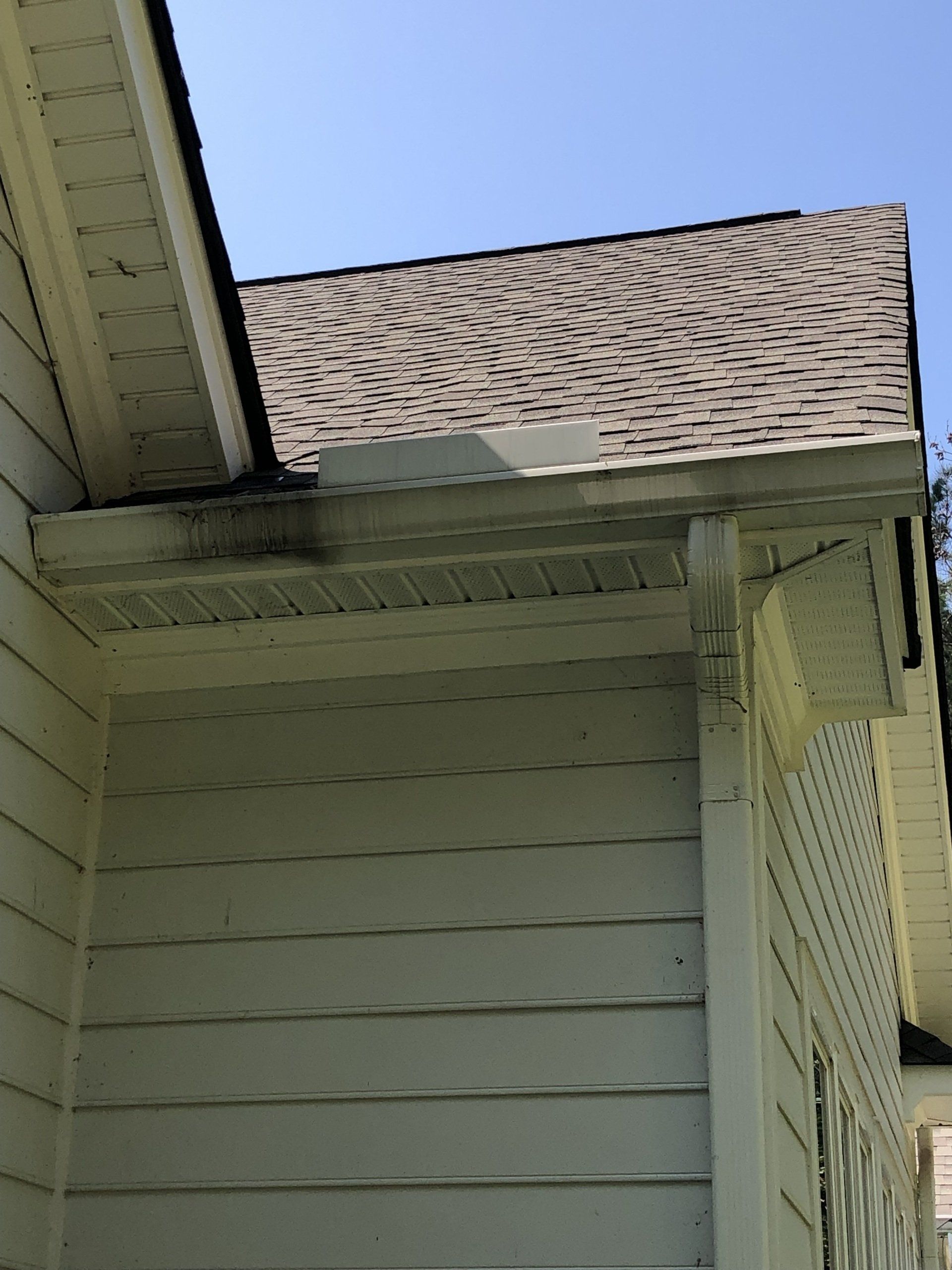 Before Leaves Were Removed — Henrico, VA — Central Virginia Power Washing