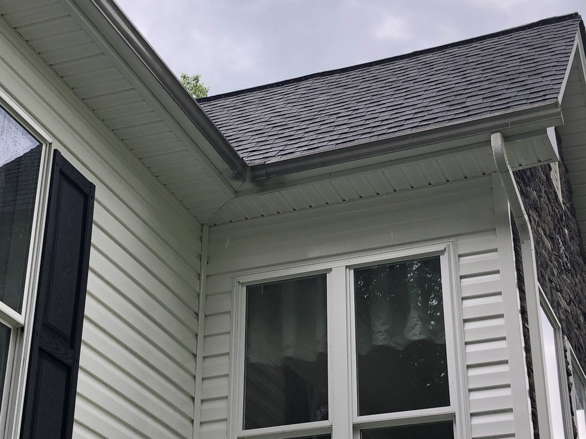 Before Leaves Were Removed — Henrico, VA — Central Virginia Power Washing