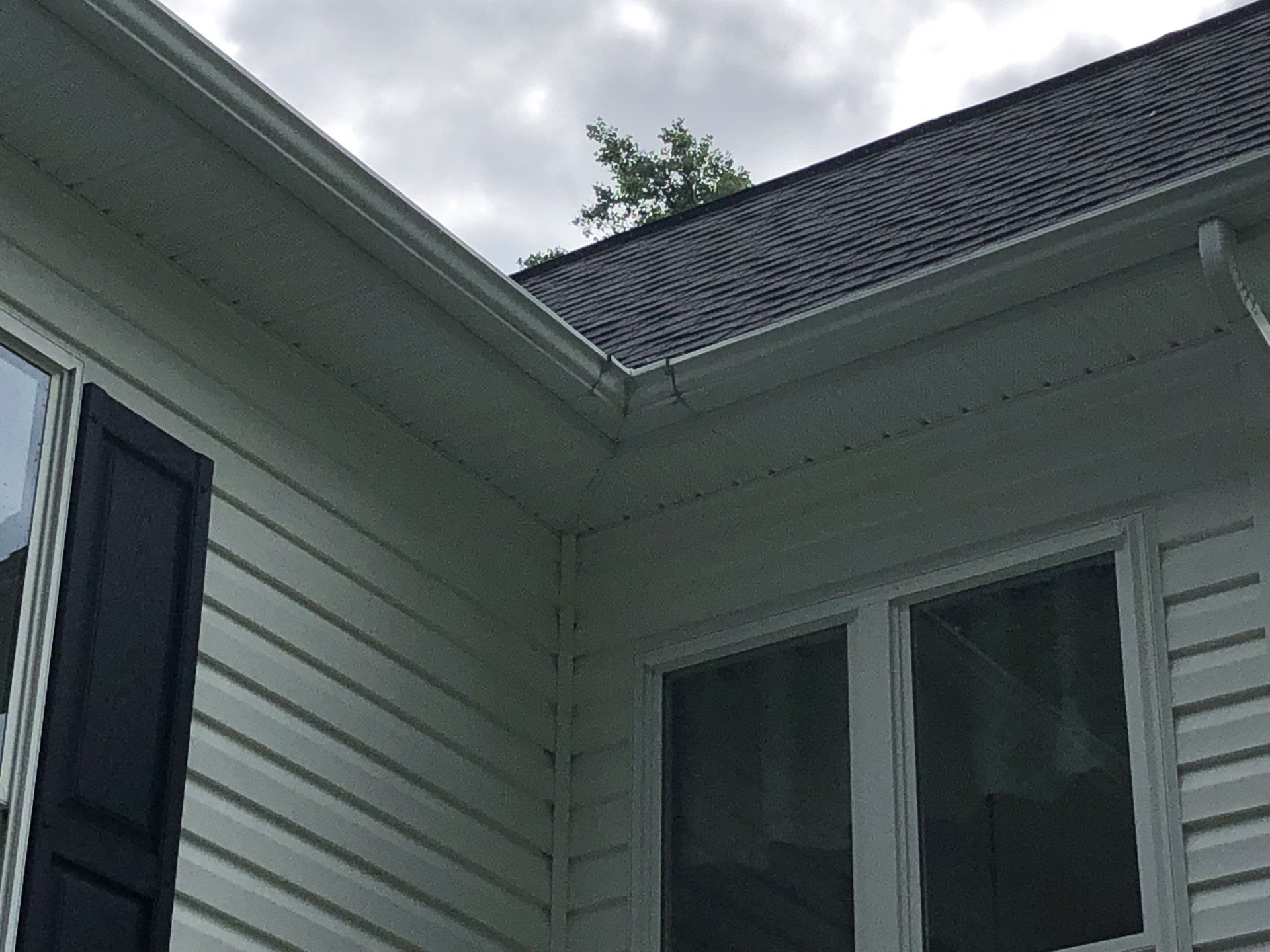 After Leaves Were Removed — Henrico, VA — Central Virginia Power Washing