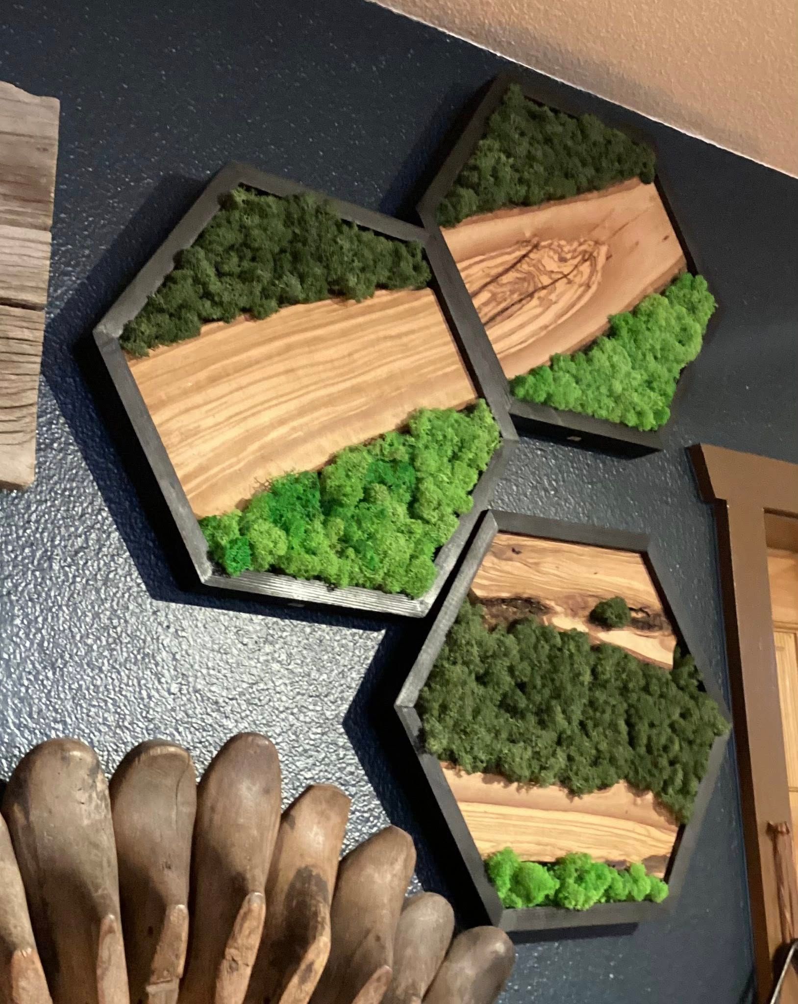 Hexagonal wall art with wood and green moss-like panels on a dark wall.