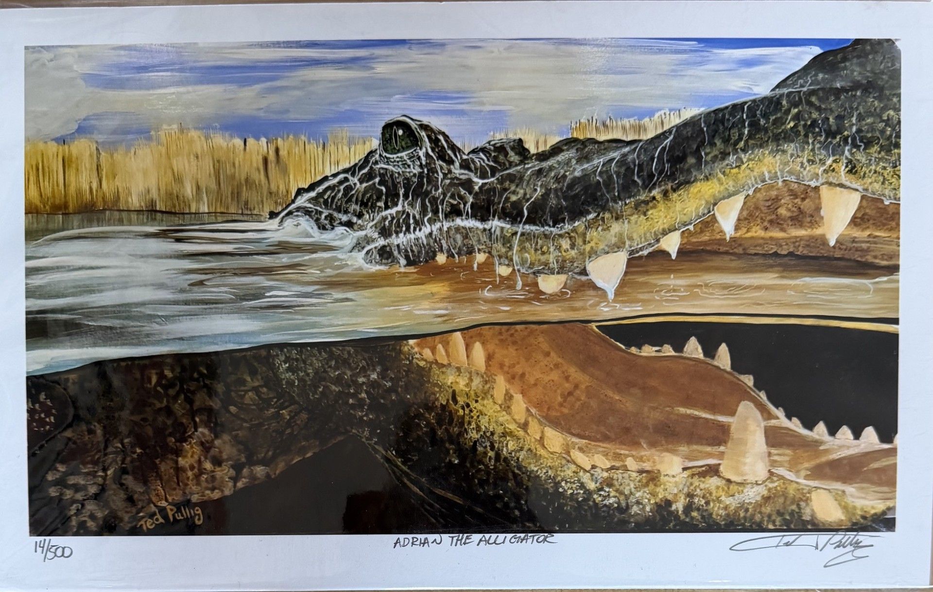Painting of a crocodile half-submerged in water, with a close-up view of its open jaws and teeth.