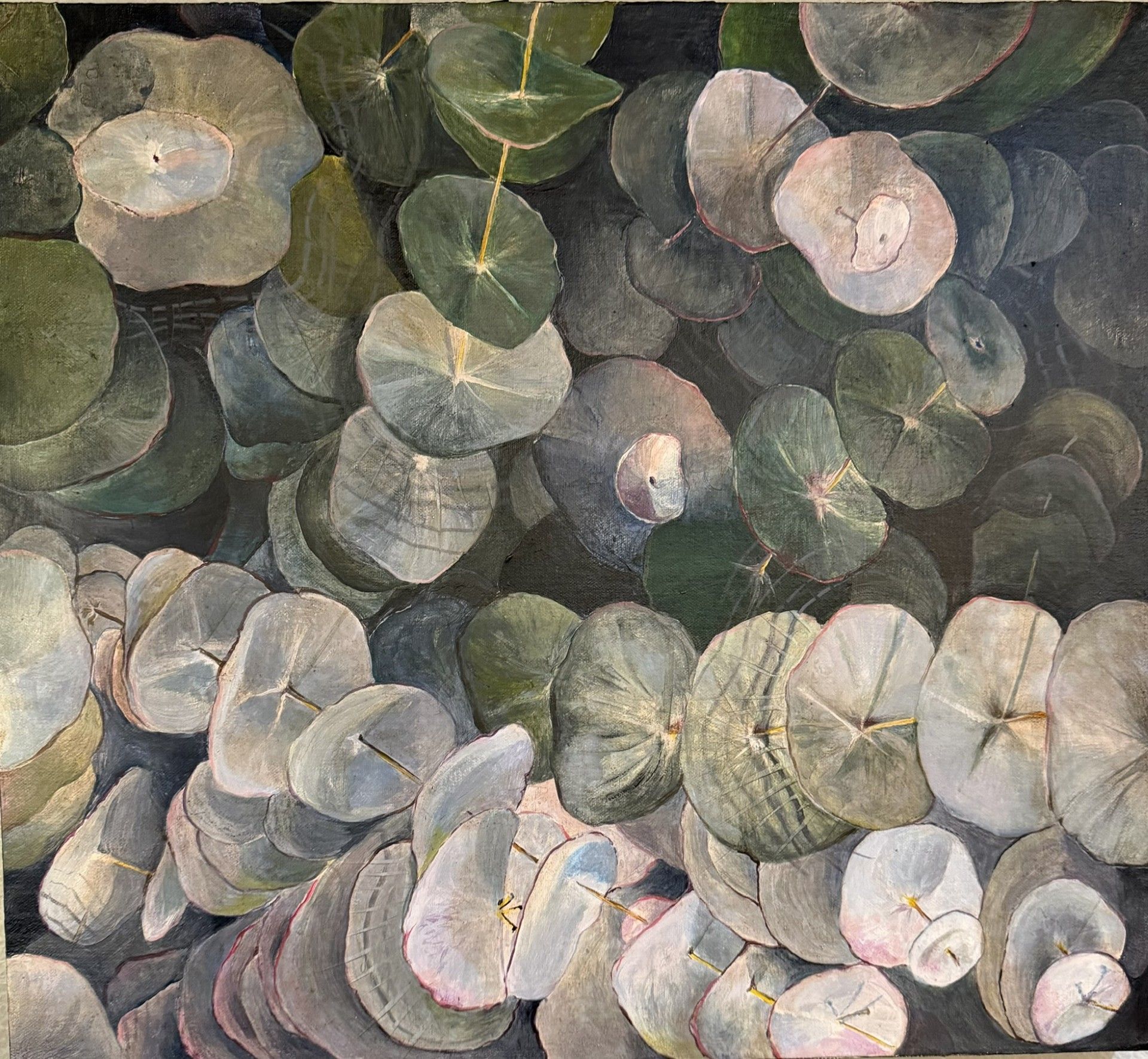 Aerial view of overlapping green, gray, and white circular leaves or discs forming a dense pattern.