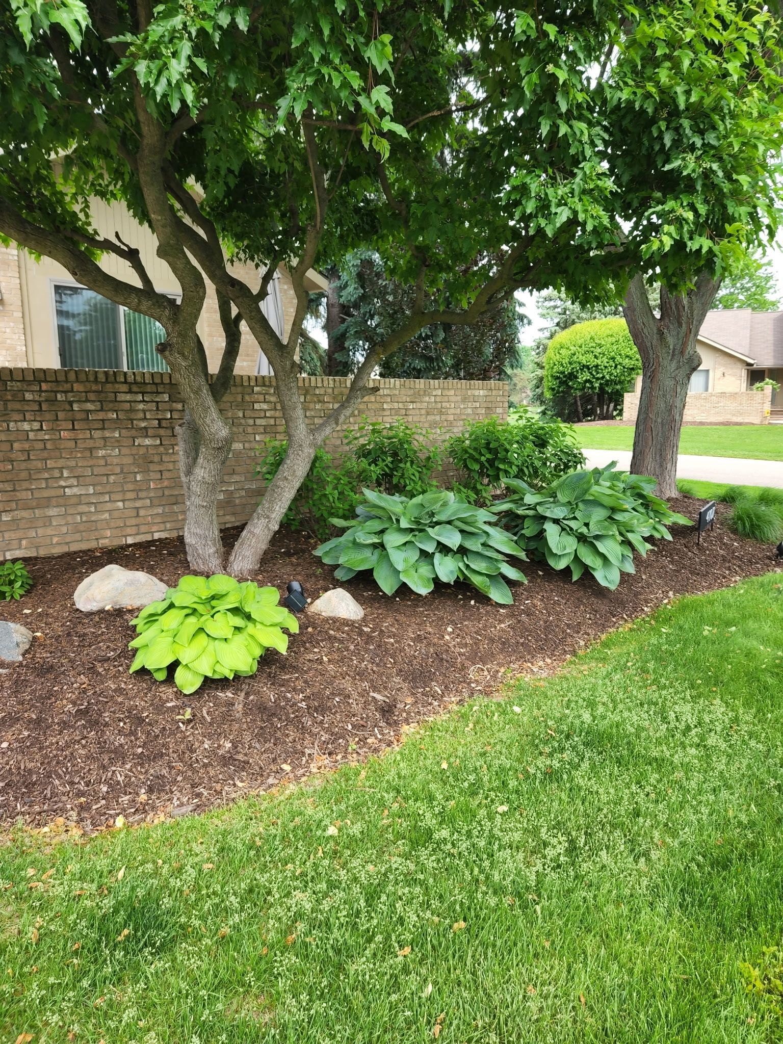 shrub planting and maintenance.jpg