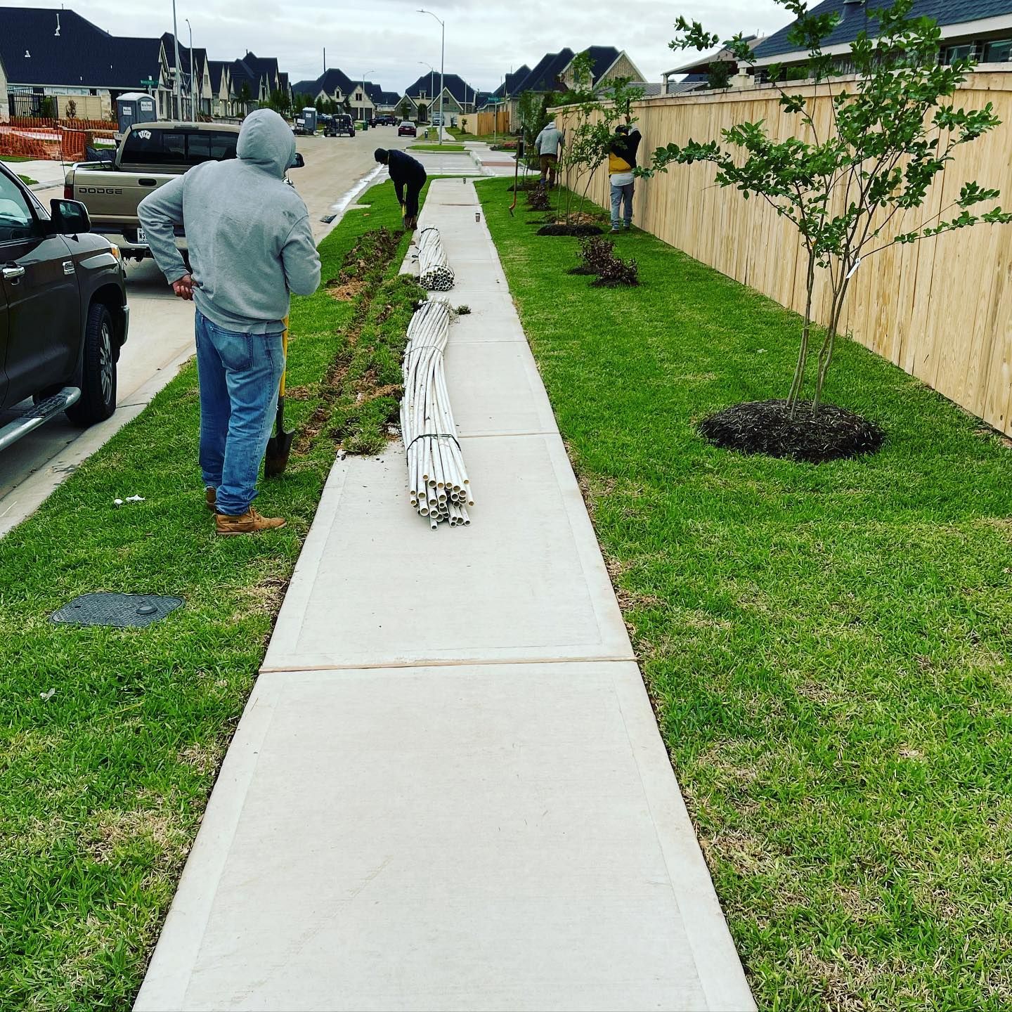 Workers installing landscaping along a sidewalk, including plants, grass, and decorative materials.