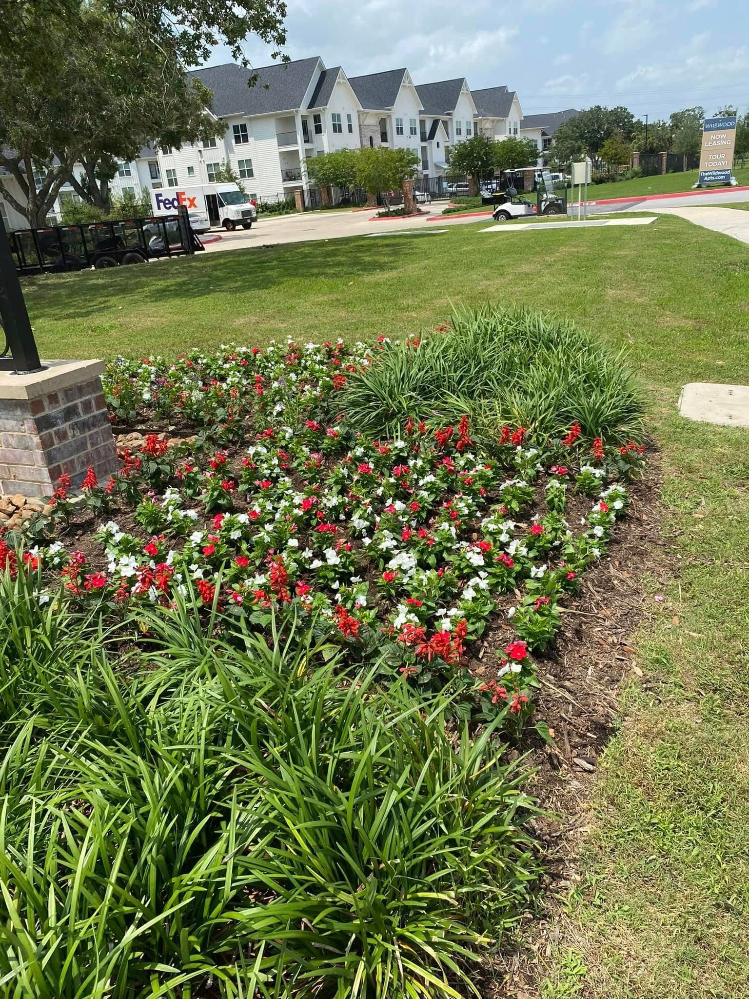 Colorful flower bed beside a grassy lawn in front of suburban townhouses on a sunny day