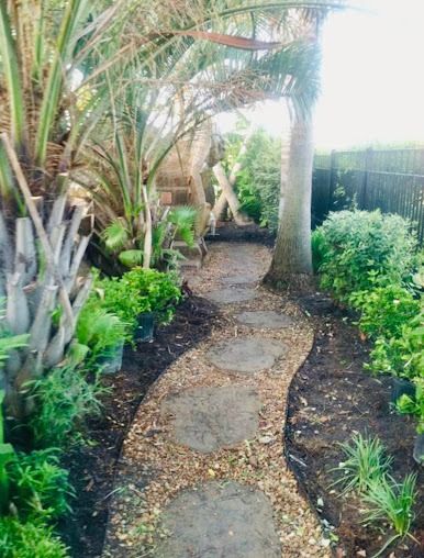 Stone garden path between tropical plants, bordered by dark mulch and sunlit greenery