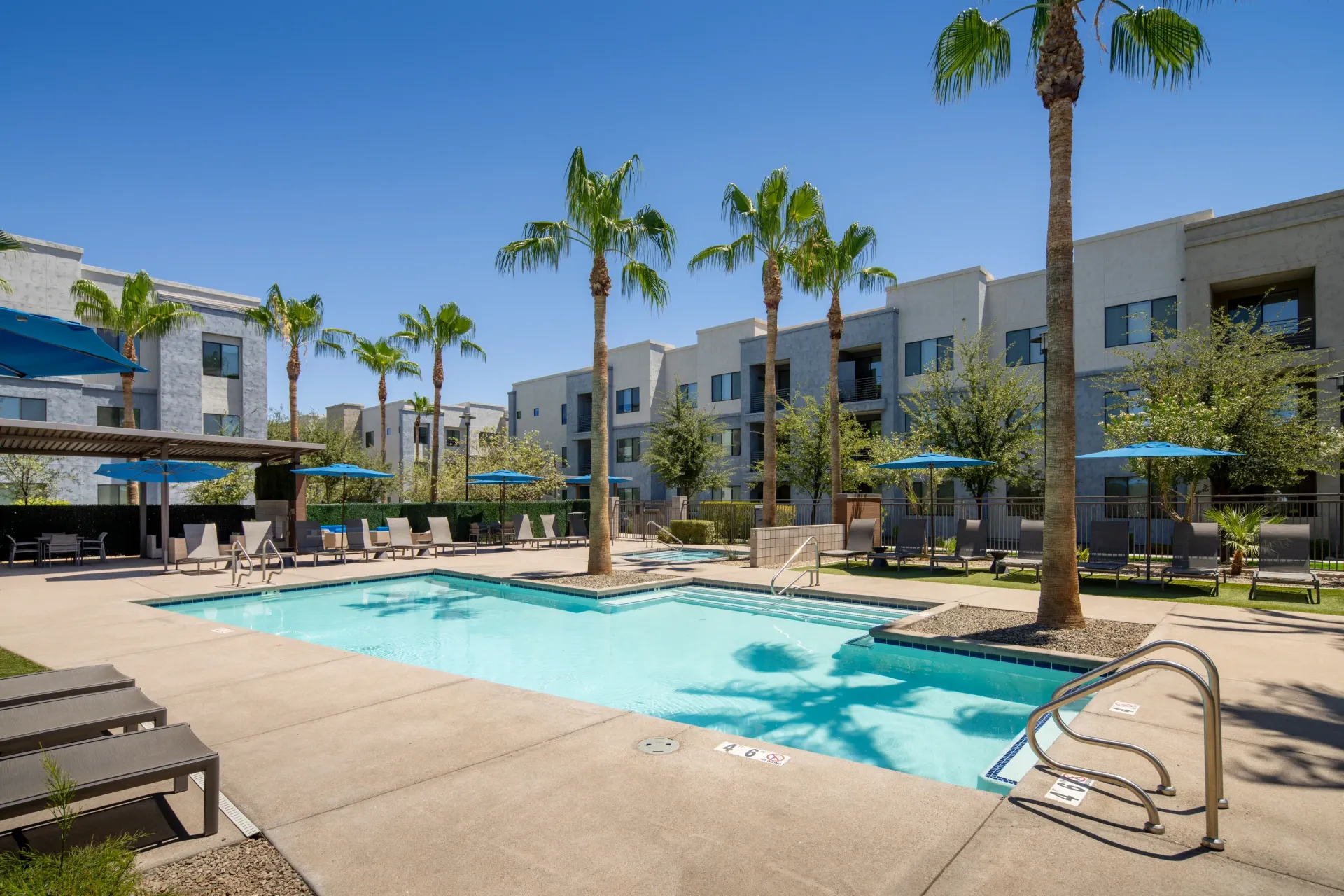 Resort-style swimming pool with lounge chairs and palm trees at Parc South Mountain in Phoenix, AZ.