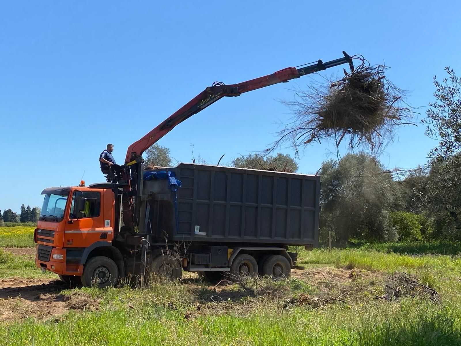 Realizzazione impianti di Biomassa| Sardegna | Dolomiti Ambiente
