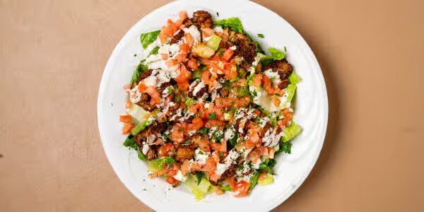 Mediterranean Restaurant | Aladdin Restaurant