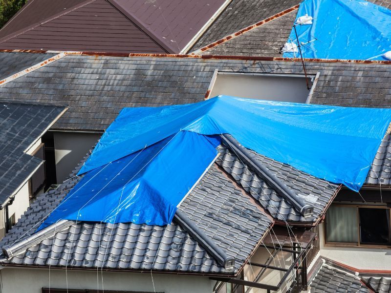 Blue tarps cover damaged rooftops in a residential area.