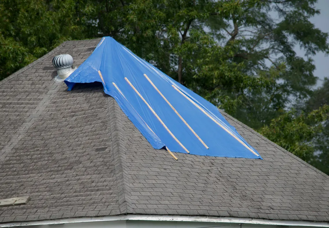Blue tarp covering damaged section of a gray shingled roof with trees in the background
