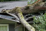 Fallen tree limb crushing a house roof above a porch with damaged shingles and siding