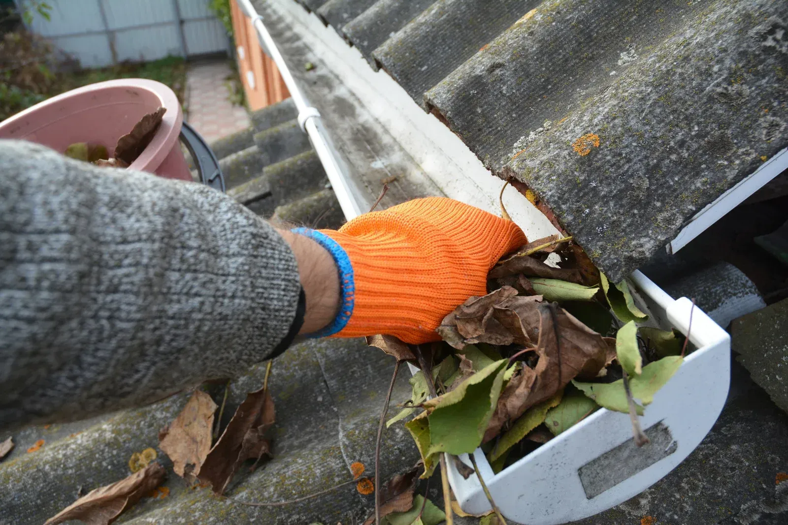 Gloved hand clearing leaves from a roof gutter on a rainy, mossy rooftop.