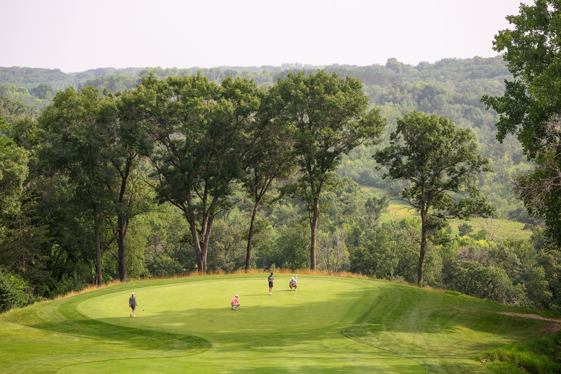 A group of people are playing golf on a golf course surrounded by trees.