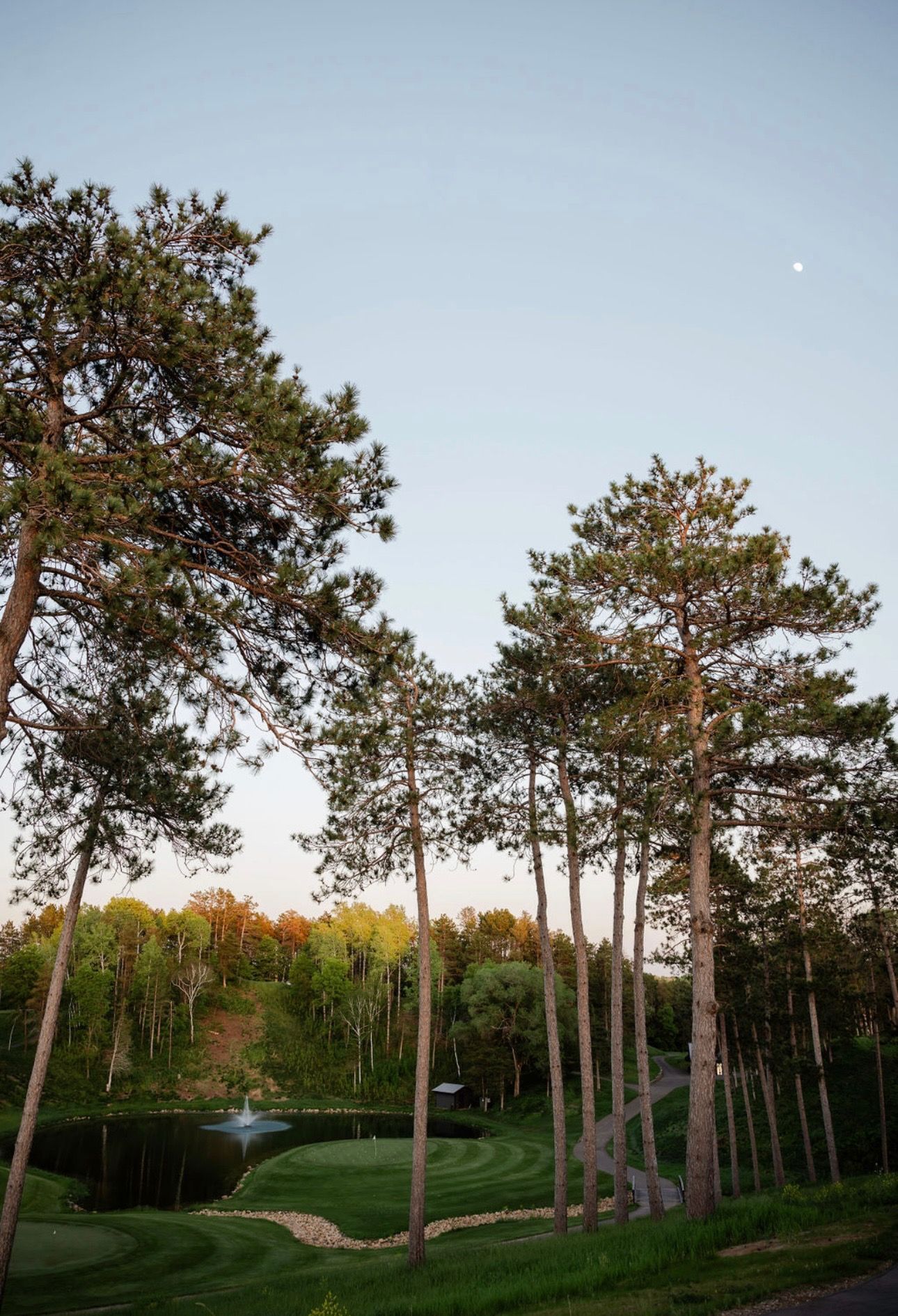 Image of the trees in the fall time.