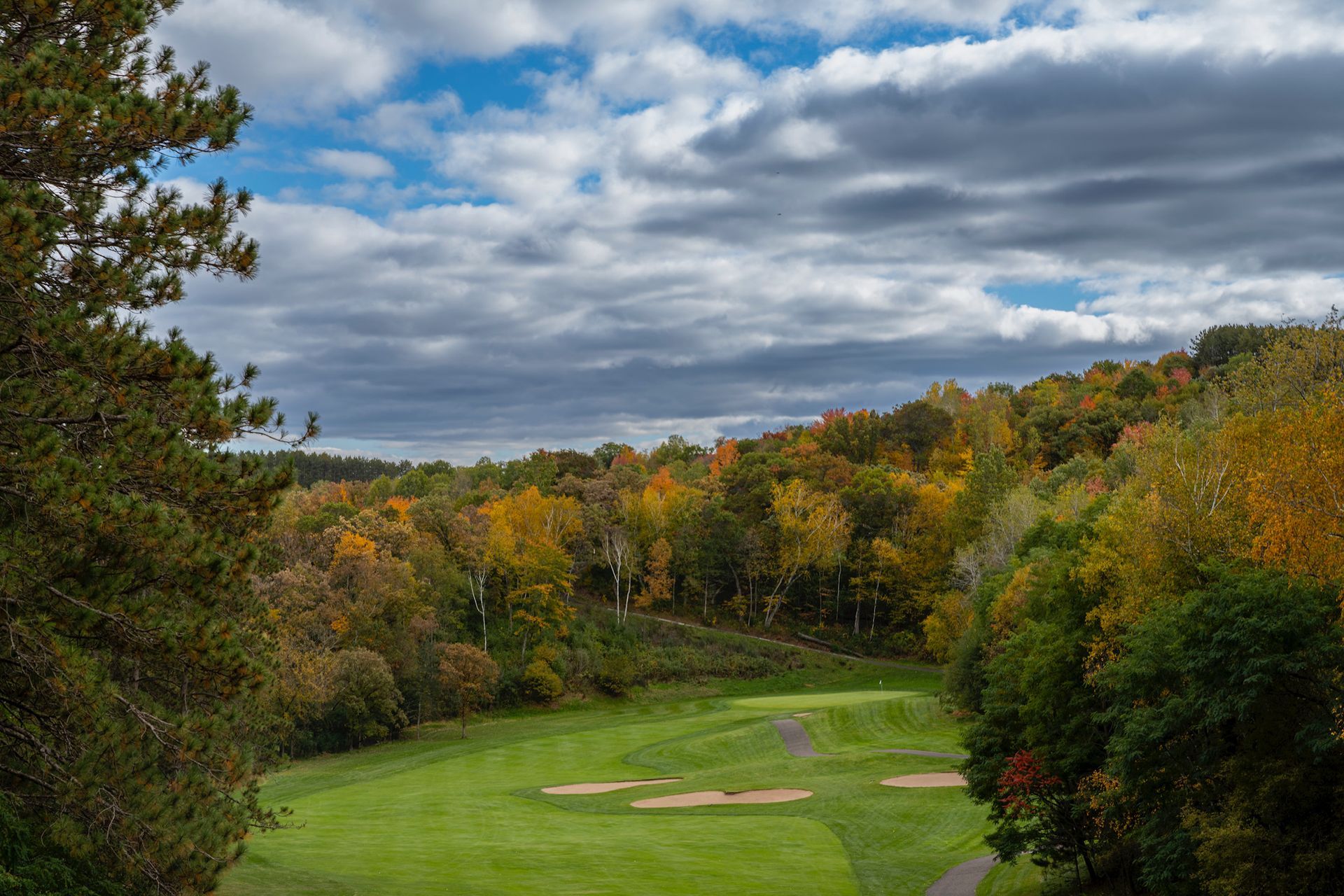 A view of a golf course surrounded by trees on a cloudy day.