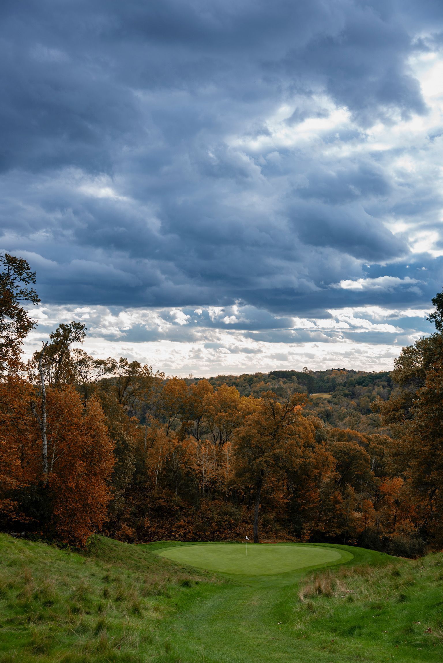 A field with trees and a cloudy sky in the background.