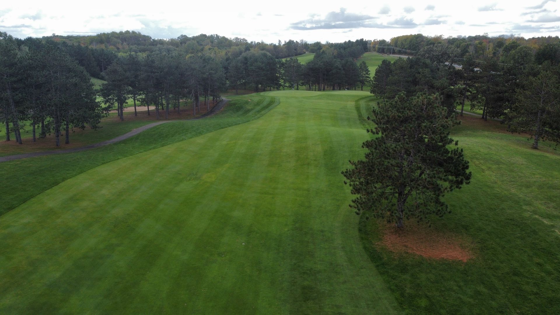 An aerial view of a golf course with trees in the background.