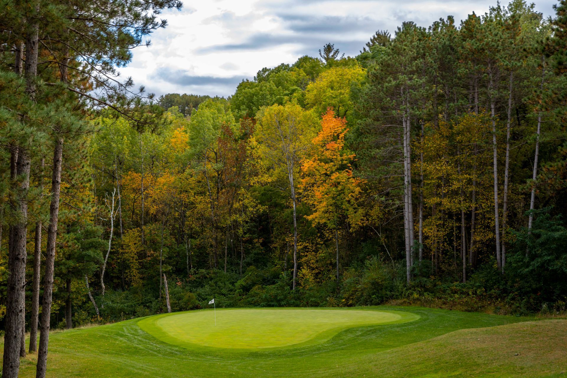 A golf course with a green in the middle of a forest.