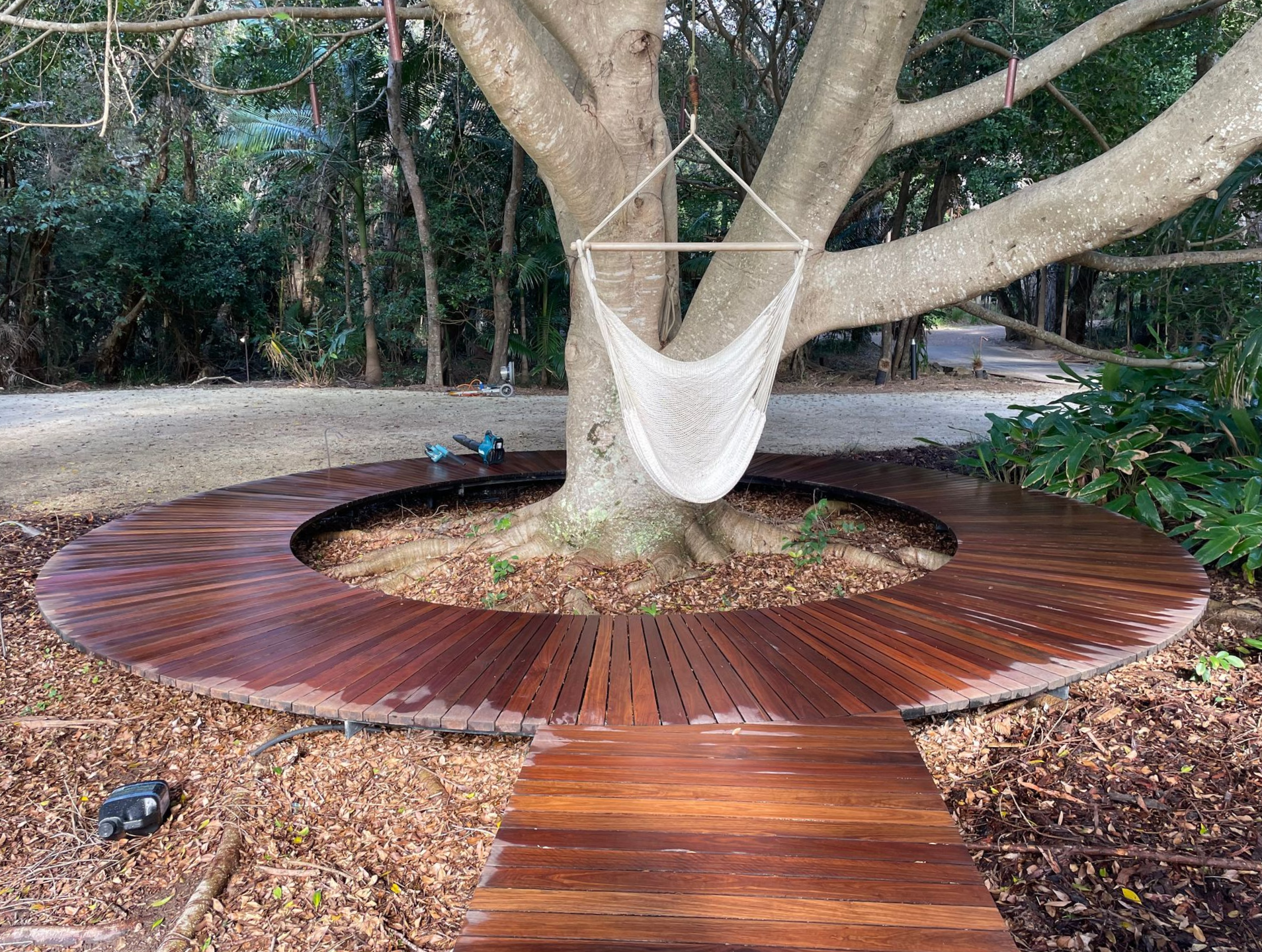 Wooden deck wraps around a tree with a hammock hanging from a branch — CM Timber Flooring in East Ballina, NSW
