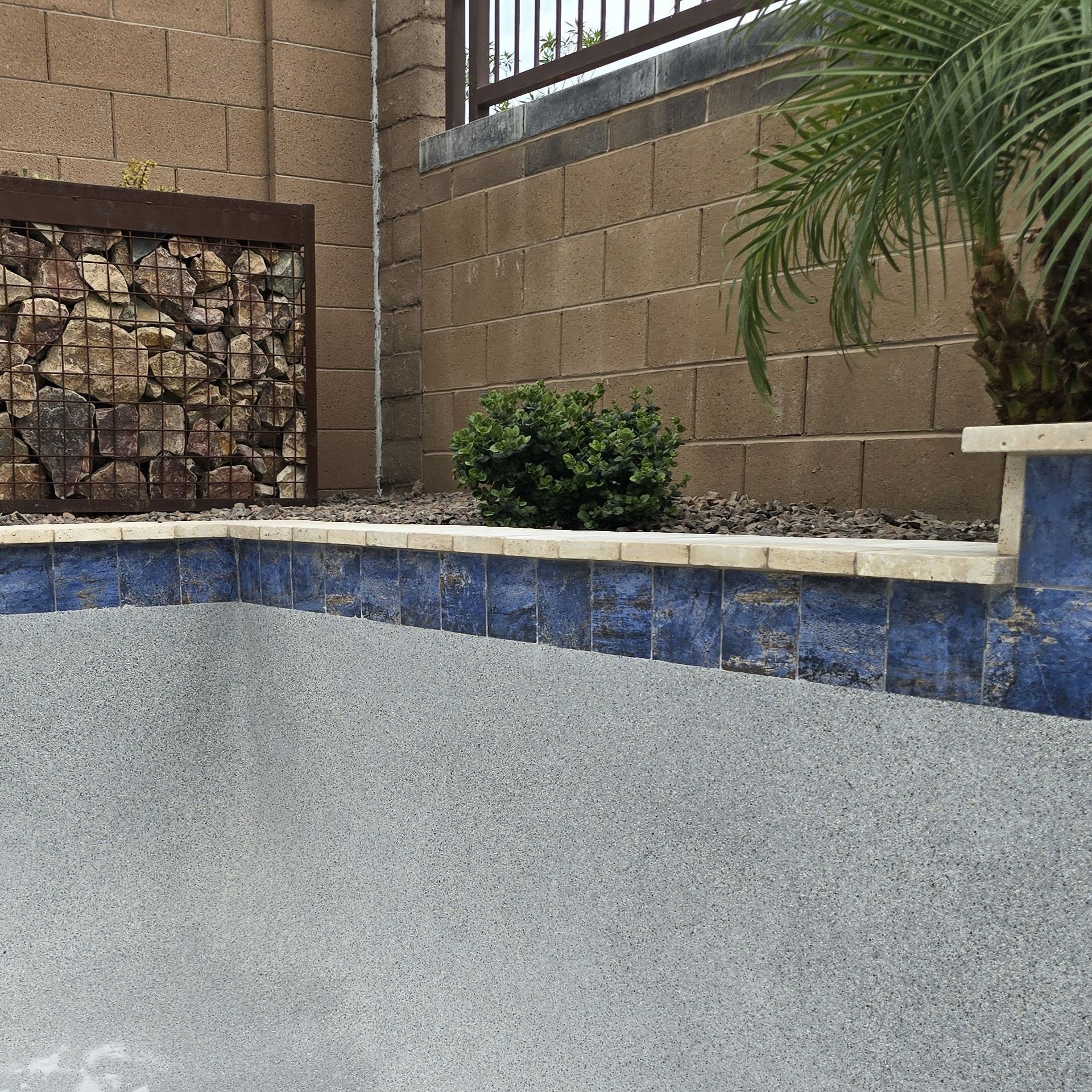 Blue tiled swimming pool with a palm tree and beige wall in the background with thick calcium tile line