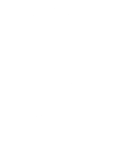 White Michigan CASA Logo on transparent background