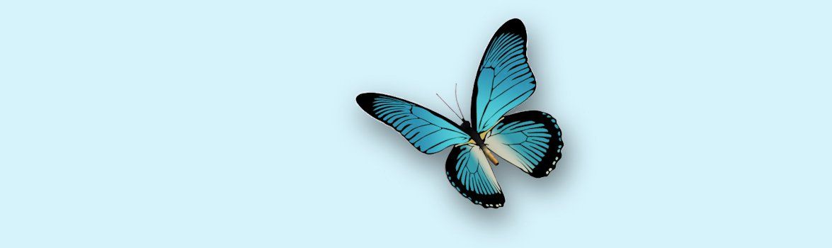 Life Transitions counselling