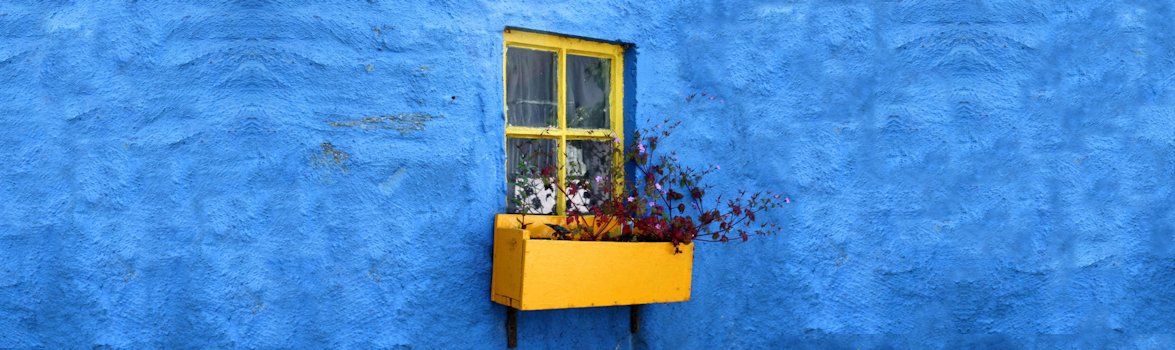 Luife Transitions counselling