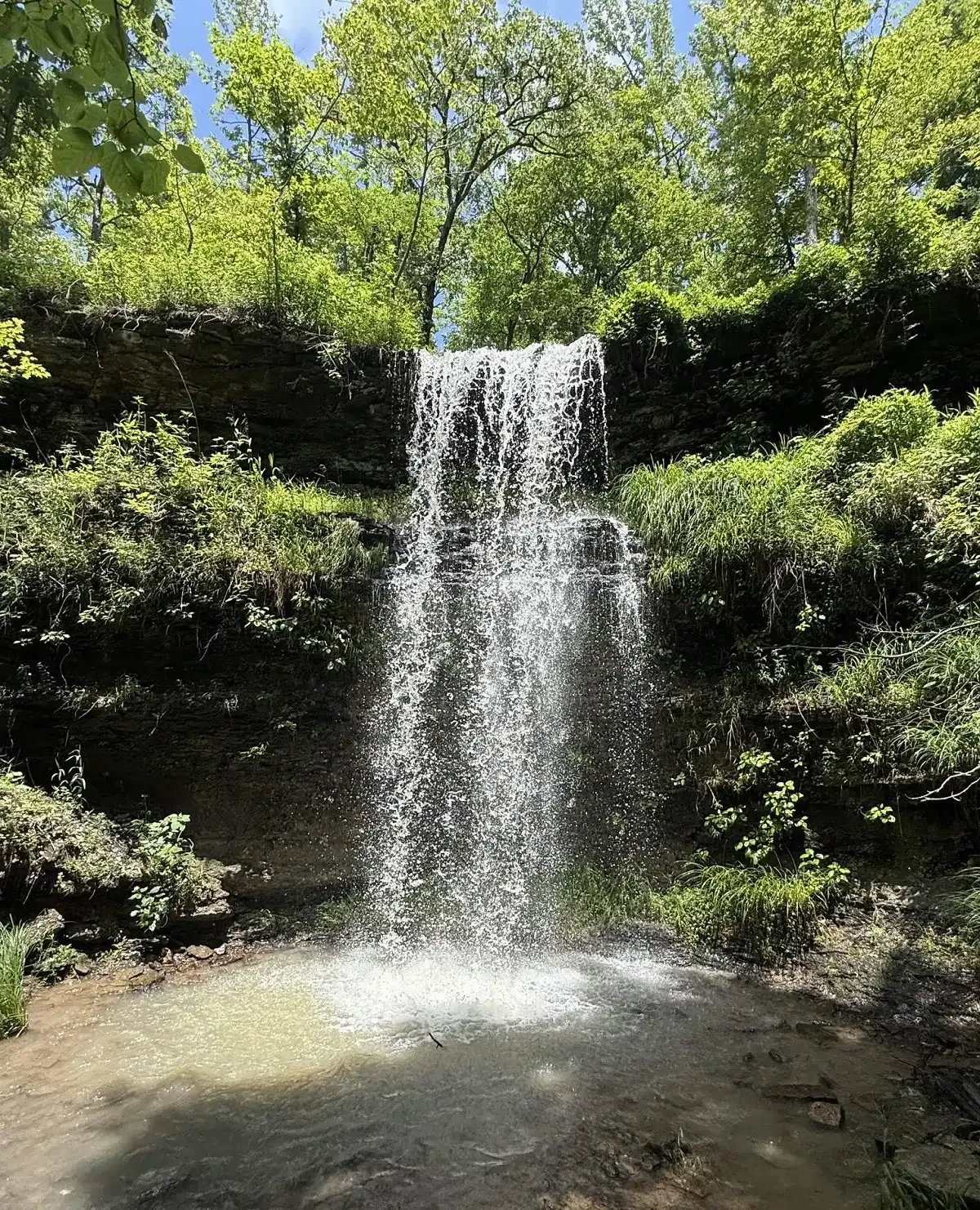 Small waterfall cascading into a rocky pool surrounded by lush green trees and shrubs.