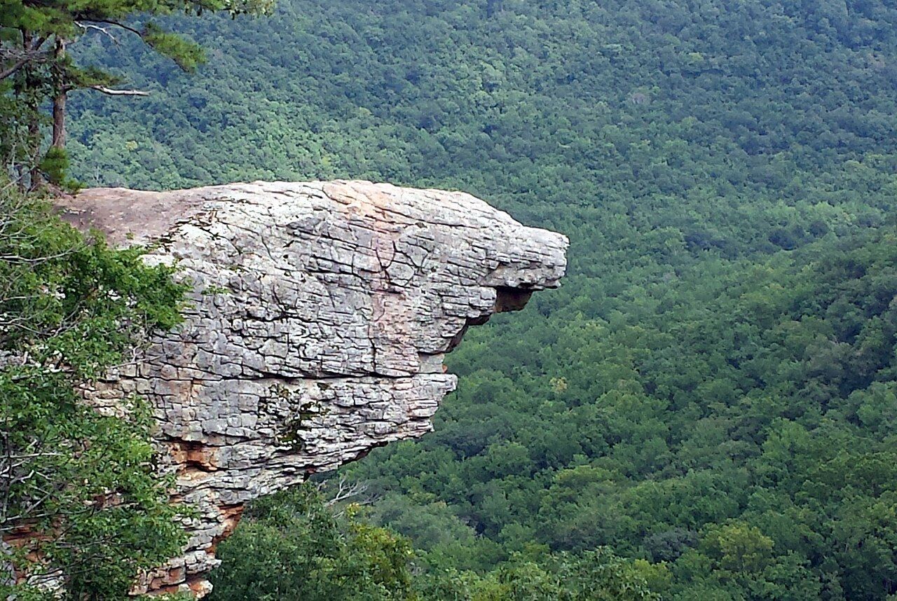 A rocky cliff ledge over a dense green forest valley