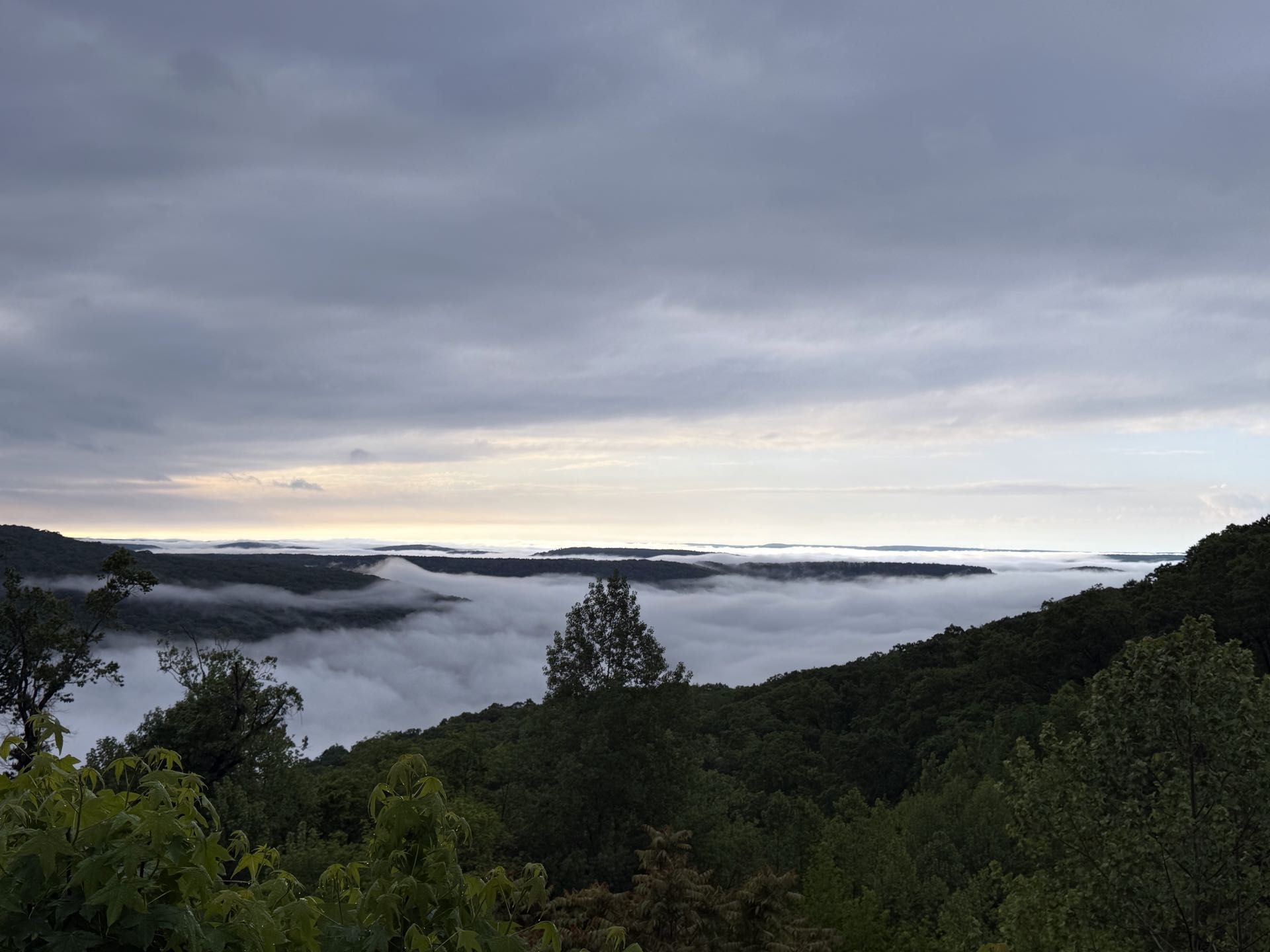 Cloudy sunrise over a forested valley filled with low-lying fog and distant water.