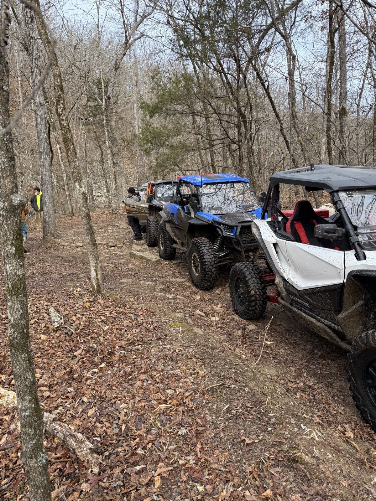 Three off-road side-by-side vehicles parked on a wooded trail in late winter