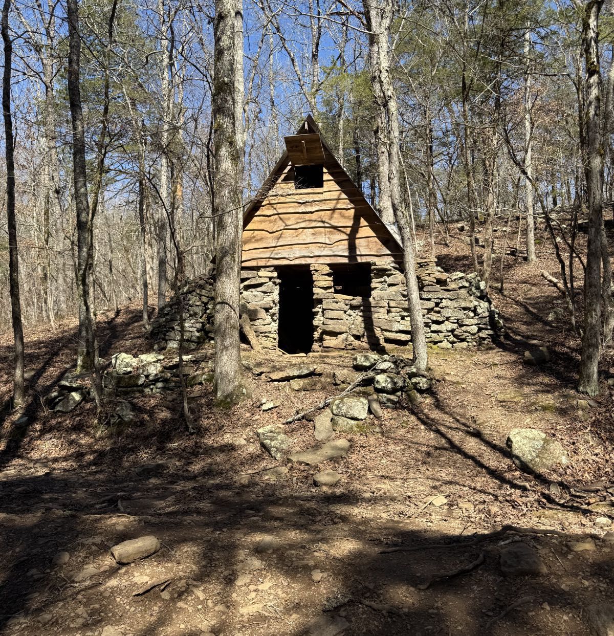 Small weathered wooden cabin in a leafless forest, with sunlight and long shadows on the ground