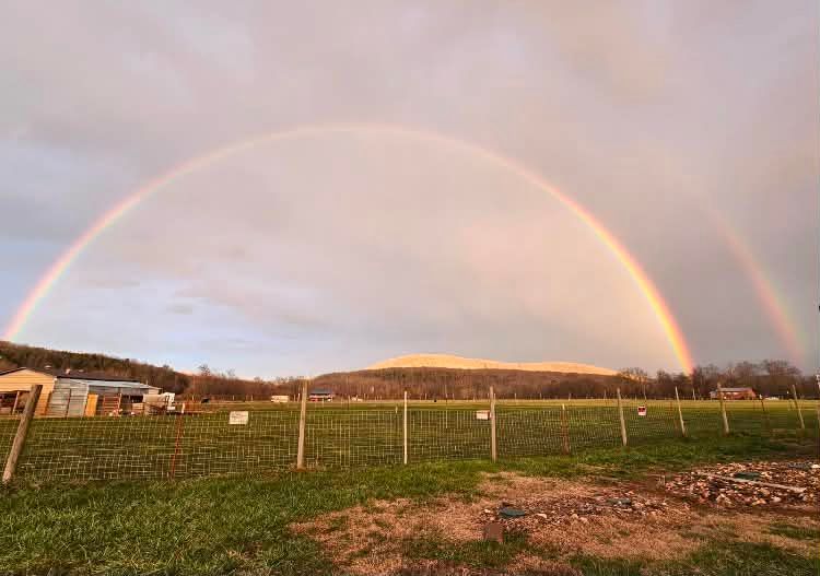 Double rainbow over a grassy field and farm fence at sunset
