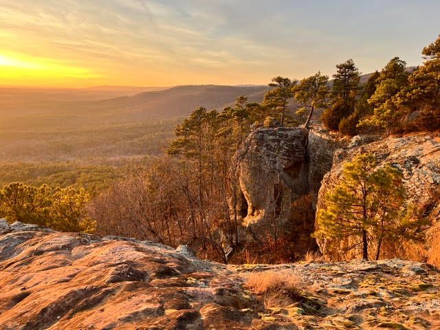 Sunset over a rocky cliff and pine forest in warm golden light