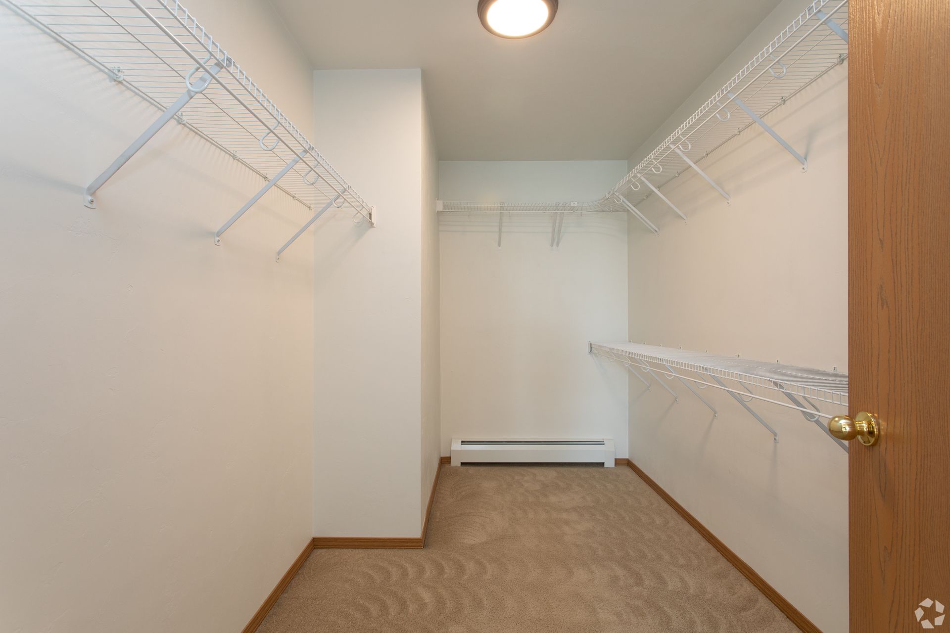 Empty walk-in closet with white wire shelves and beige carpet, lit by a ceiling light.