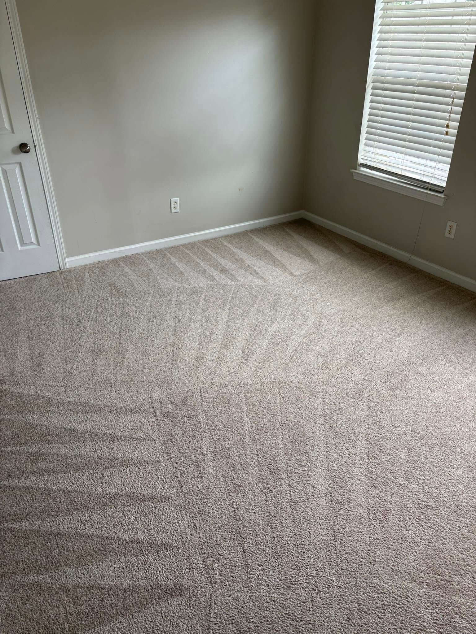 carpet