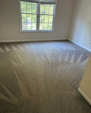 Empty carpeted room with a window and sunlight streaming across the floor.